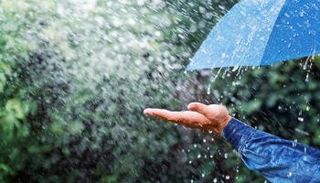 هطول الأمطار عنصر حاسم في دورة الماء