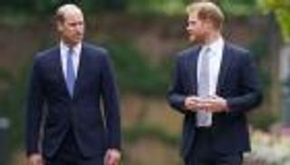 لقاء افتراضي.. هل تجمع ديانا الشقيقين المتناحرين؟ 