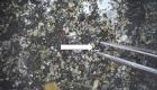 العثور على دليل اصطدام كويكب بالأرض قبل 790 ألف عام