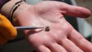 اكتشاف أثري يزيح الستار عن حياة البشر قبل 11 ألف عام