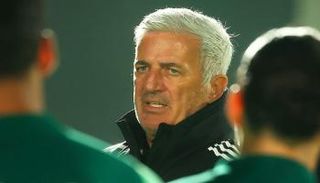 فلاديمير بيتكوفيتش، مدرب منتخب الجزائر