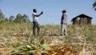 مبادرة أمريكية لدعم واردات الأغذية من أفريقيا