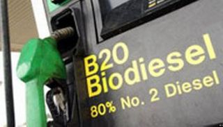 علم الولايات المتحدة الأمريكية