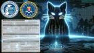 قراصنة الـ«بلاك كات» يستهدفون أمريكا.. مكافأة خيالية لمن يرشد عنهم