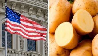 خلاف على البطاطس في أمريكا