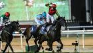 في البحر والجو.. 40 قناة تلفزيونية ترصد كأس دبي العالمي للخيول 2024