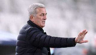 فلاديمير بيتكوفيتش