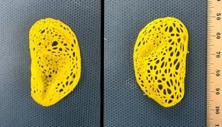 نسخة طبق الأصل من الأذن البشرية