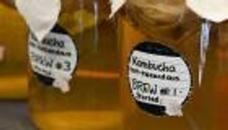 تمثيل غذائي يشبه تأثيرات الصيام.. فائدة جديدة لـ«شاي كومبوتشا»