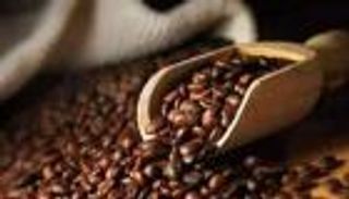 ما مصير أسعار القهوة بعد عيد الفطر في مصر؟.. «شعبة البن» تتوقع انخفاضا