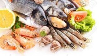 أسماك - صورة أرشيفية