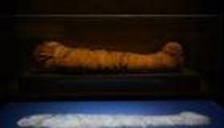 قرار أسترالي يخص المومياوات المصرية.. هل يخشون «لعنة الفراعنة»؟