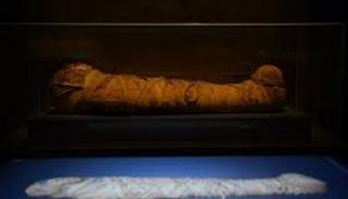 معروضات في متحف جامعة سيدني