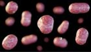 «مرض قاتل» ينتشر في ولاية أمريكية.. ماذا نعرف عن عدوى «تولاريميا»؟