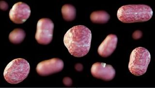 عدوى تولاريميا البكتيرية