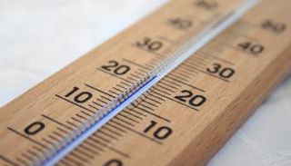 مصدر الصورة: كانفا. 