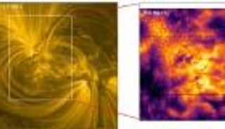 علماء يكشفون آلية تسخين «الطحالب الشمسية»