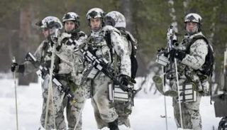 مناورة الاستجابة الشمالية