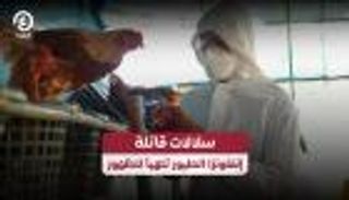 سلالات قاتلة.. إنفلونزا الطيور تتهيأ للظهور