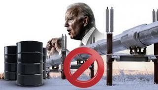 الدب القطبي في ألاسكا - رويترز