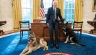 تمساح وراكون وببغاء سليط اللسان.. حيوانات «أليفة» عاشت في البيت الأبيض