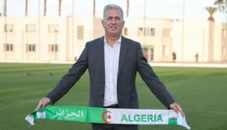 فلاديمير بيتكوفيتش مدرب منتخب الجزائر