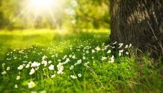 في يوم الأرض.. توعية مستمرة بجمال الطبيعة وأهمية حمايتها