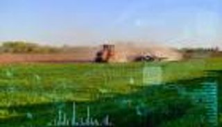 معالجة رقمية للمخاطر.. الذكاء الاصطناعي يرتقي جذريا بالزراعة اللاتينية