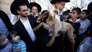 ذبح القرابين من بين طقوس عيد الفصح اليهودي