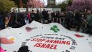 الغضب في أمريكا يتسلق أسوار الجامعات.. وشومر مطالب بتحرك ضد نتنياهو