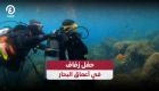 حفل زفاف في أعماق البحار