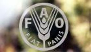 اللحوم تشعل مؤشر الغذاء والسكر يخسر.. «فاو» تكشف سر القفزة