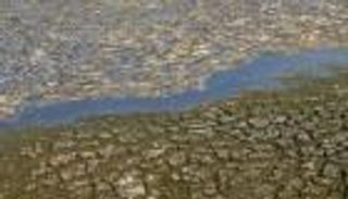 ضربة مناخية لفيتنام.. احترار قياسي ونفوق مئات الآلاف من الأسماك