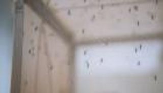 الإبادة عن طريق الزواج.. الولايات المتحدة تعلن الحرب على «الزاعجة المصرية»