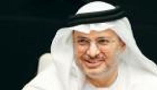 قرقاش: نفتخر بتطور القوات المسلحة الإماراتية وجاهزيتها