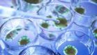 لقاح «استباقي» لفيروسات كورونا غير المكتشفة.. ما القصة؟