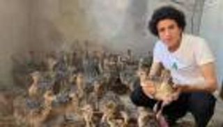 مصرع «أصغر مربي للنعام بمصر».. «حداد إلكتروني» بعد وفاة يوسف العادلي 