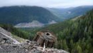 الأشجار القديمة تكشف أن صيف 2023 كان الأكثر سخونة منذ 2000 عام