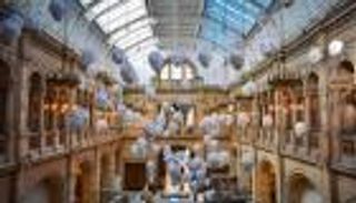 اليوم العالمي للمتاحف 2024.. «متاحف للتعليم والبحث»