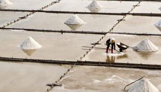 إنتاج الملح - أرشيفية