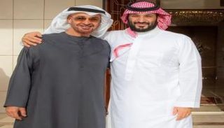 جانب من لقاء الشيخ محمد بن زايد آل نهيان والأمير محمد بن سلمان بن عبدالعزيز