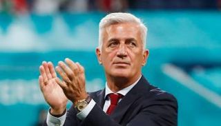 فلاديمير بيتكوفيتش