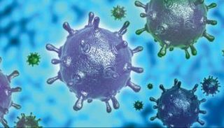 اكتشاف فيروسات عملاقة