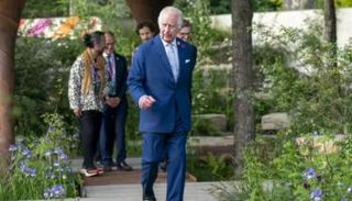 الملك تشارلز