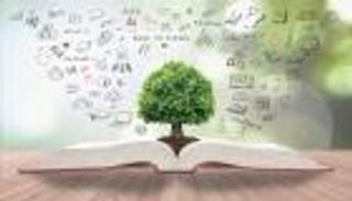 ما هي أفضل استراتيجيات التربية بالقصة.. وكيفية تأثيرها على سلوك الأطفال؟