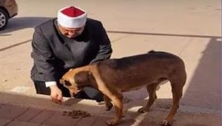 إمام مسجد يطعم الكلاب الضالة في مصر