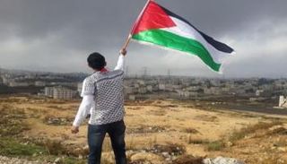 شاب يحمل علم فلسطين - أرشيفية