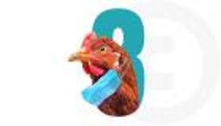 إنفلونزا الطيور تصيب شركات اللقاحات بـ«عدوى المكاسب»