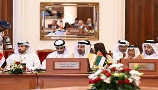 جانب من مشاركة الوفد الإماراتي