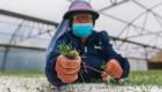 إعادة تشجير الغابات.. كيف تساهم تقنيات الروبوتات؟